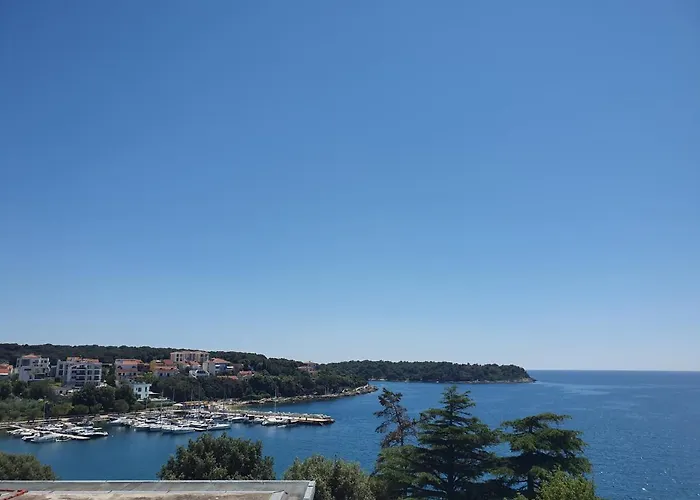 Mare
