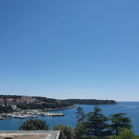 Mare